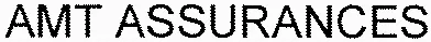 AMT ASSURANCES
