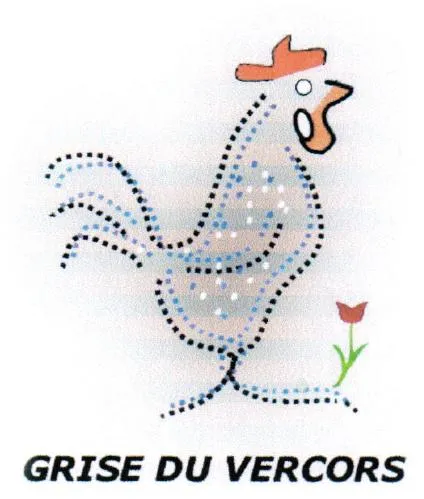 GRISE DU VERCORS