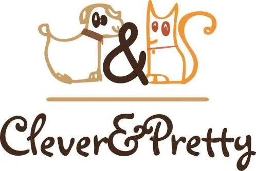 CLEVERETPRETTY