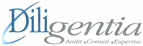 DILIGENTIA AUDIT • CONSEIL • EXPERTISE