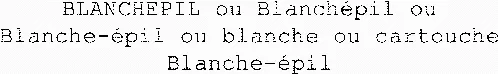 BLANCHEPIL ou Blanchépil ou Blanche-épil ou blanche ou cartouche Blanche-épil