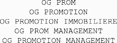 OG PROM OG PROMOTION OG PROMOTION IMMOBILIERE OG PROM MANAGEMENT OG PROMOTION MANAGEMENT