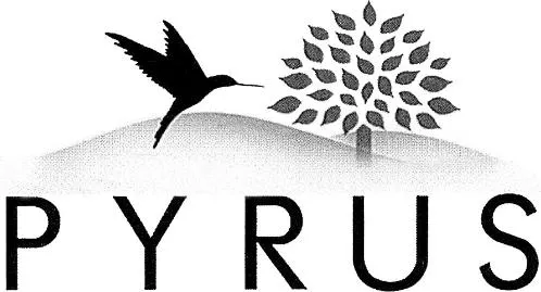 PYRUS