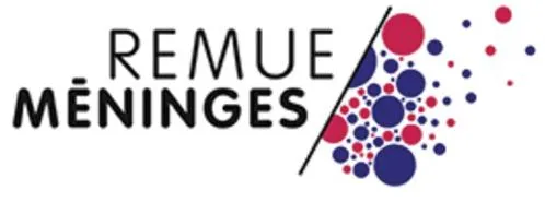 REMUE MENINGES