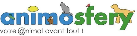 ANIMOSFERY VOTRE @NIMAL AVANT TOUT !