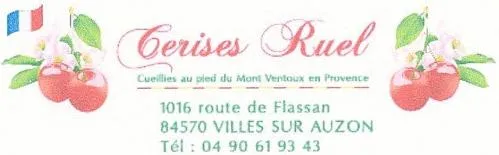 CERISES RUEL CUEILLIES AU PIED DU MONT VENTOUX EN PROVENCE