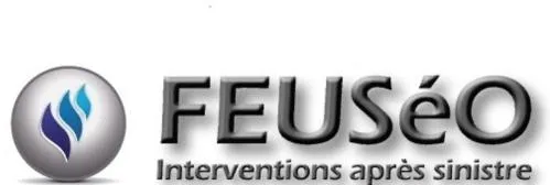 FEUSEO INTERVENTIONS APRES SINISTRE