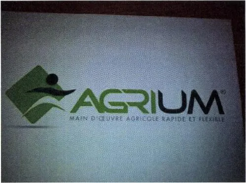 AGRIUM MAIN D'OEUVRE AGRICOLE RAPIDE ET FLEXIBLE