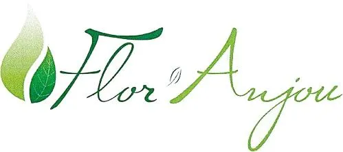 Flor Anjou