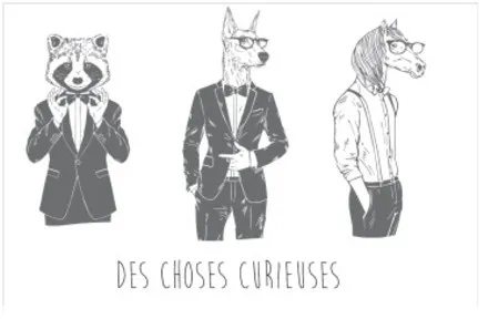 DES CHOSES CURIEUSES