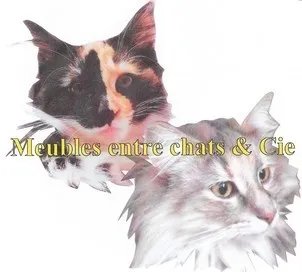 Meubles entre chats & Cie