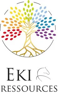 EKI RESSOURCES
