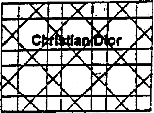 CHRISTIAN DIOR