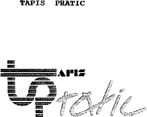 TP TAPIS PRATIC