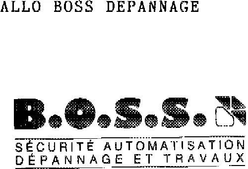 ALLO BOSS DEPANNAGE