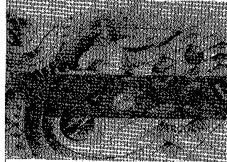 MERCURY