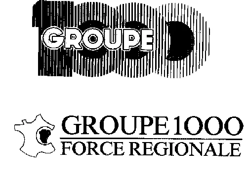 GROUPE 1000 FORCE REGIONALE
