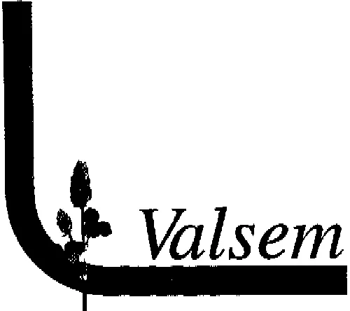 VALSEM