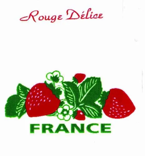 ROUGE DELICE FRANCE