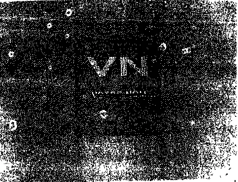 VN