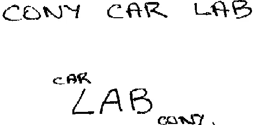 CONY CAR LAB CAR LAB CONY