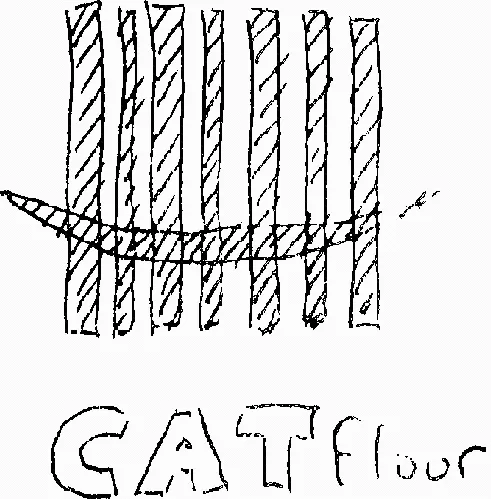 CAT FLOOR