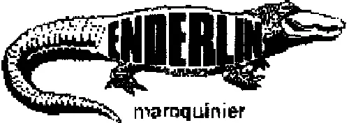 ENDERLIN MAROQUINIER