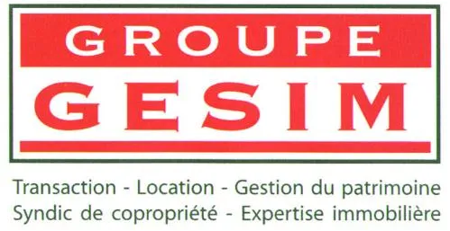GROUPE GESIM