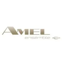 SA CHANTIERS AMEL