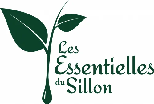 CUMA DU SILLON (CUMA)