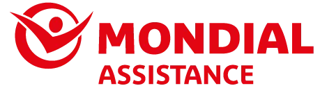 GESTION DE TELEASSISTANCE ET DE SERVICES (G.T.S)