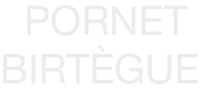SARL PORNET-BIRTEGUE (ETS PORNET BIRTEGUE)