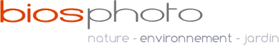 BIOS (BIOSPHOTO)