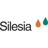 SILESIA FRANCE