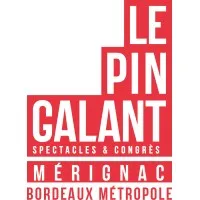MERIGNAC GESTION EQUIPEMENT (ESPACE CULTUREL DU PIN GALANT)