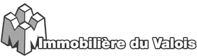 IMMOBILIERE DU VALOIS (IMMOBILIERE DU VALOIS)