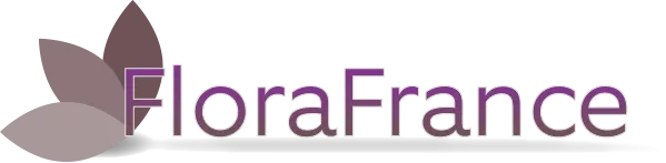 BAILLY DURAND SARL (FLOREAL)