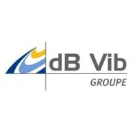 DBVIB CONSULTING