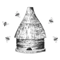 ABEILLES SANTE