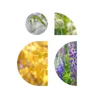 SOCIETE D'ETUDE ET DE RECHERCHE EN INGENIERIE PHARMACEUTIQUE (SERIPHARM)
