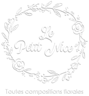 SOC EXPLOITATION LE PETIT NICE