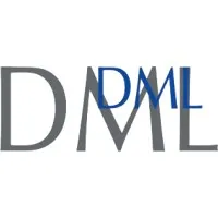 DEPANNAGE MAINTENANCE LEVAGE (DML)