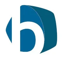 BLITZ BUSINESS SERVICES PAR ABREVIATION BLITZ BS