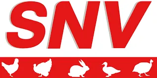 S N V