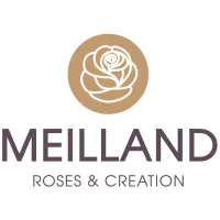 MEILLAND INVESTISSEMENT