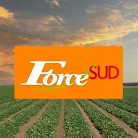 FORCE SUD