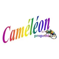 CAMELEON SARL (CAMELEON)