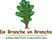 DE BRANCHE EN BRANCHE