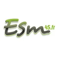 ENSEIGNES SERVICE MAINTENANCE SARL (ESM)