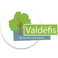 VALDEFIS (VALDEFIS)